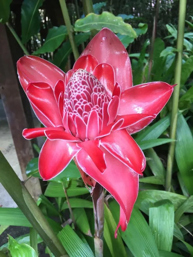 Homestay La Villa Flau Studio Azur Sainte-Luce