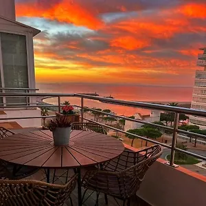 Sunsetmare Vacational Roses
