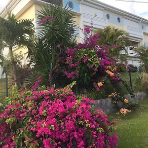 Les Hibiscus Sainte-Luce
